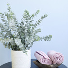 Arranjo De Eucaliptos Artificiais No Vaso De Cerâmica | Formo